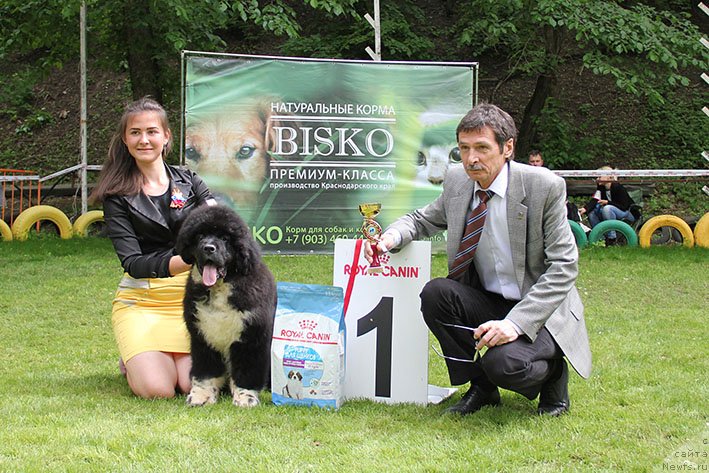 Фотография № 242663