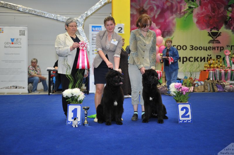 Фотография № 242670