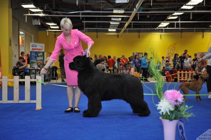 Фотография № 242671