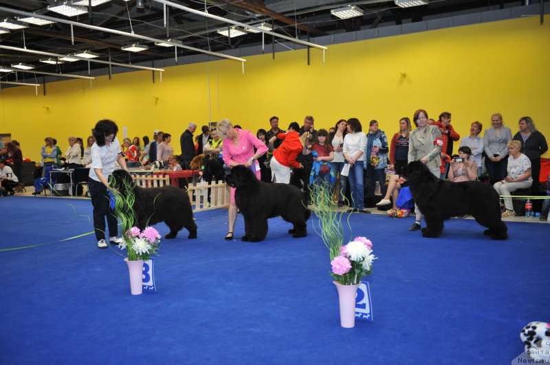 Фотография № 242673