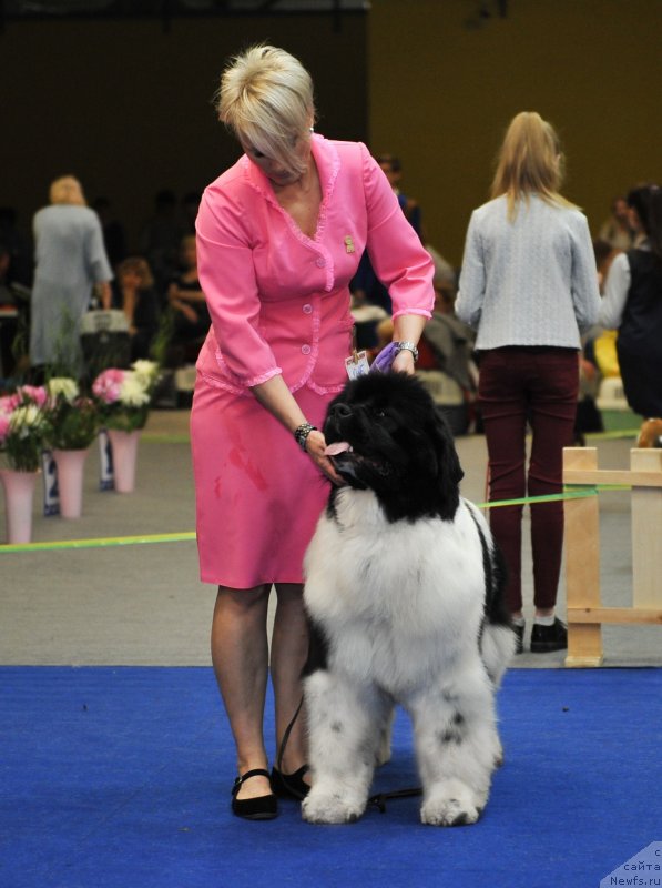 Фотография № 242681