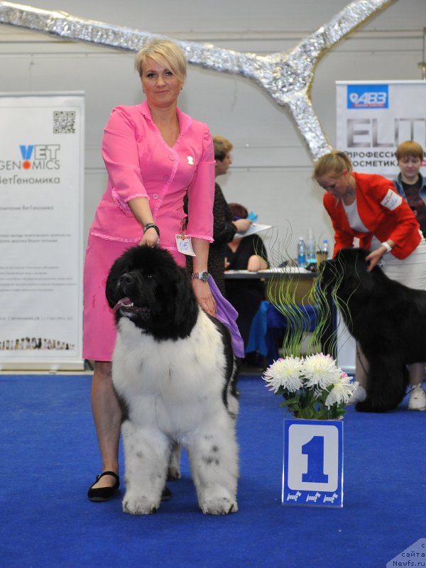 Фотография № 242682