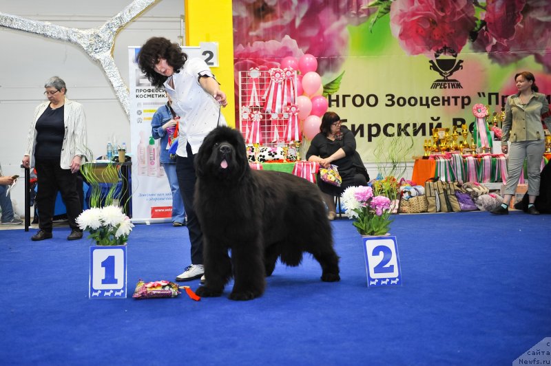 Фотография № 242690