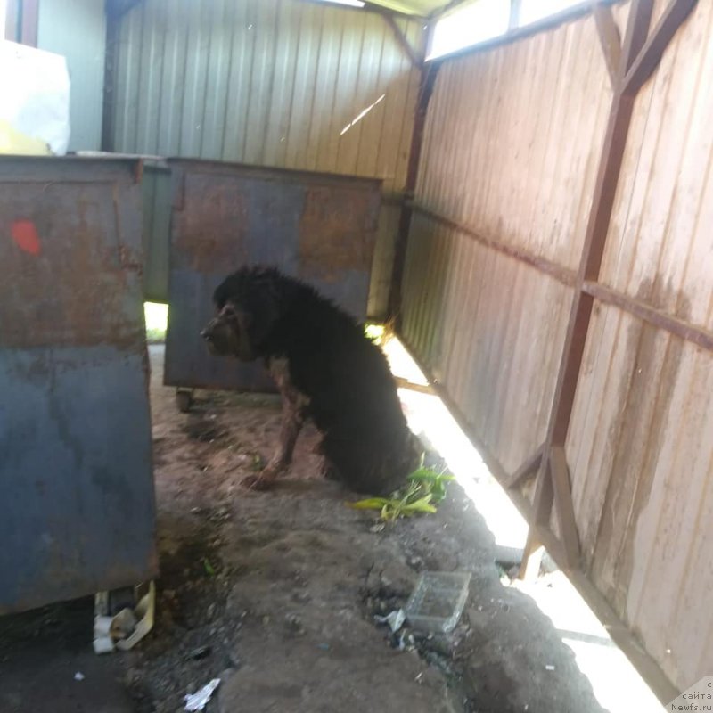 Фотография № 242710