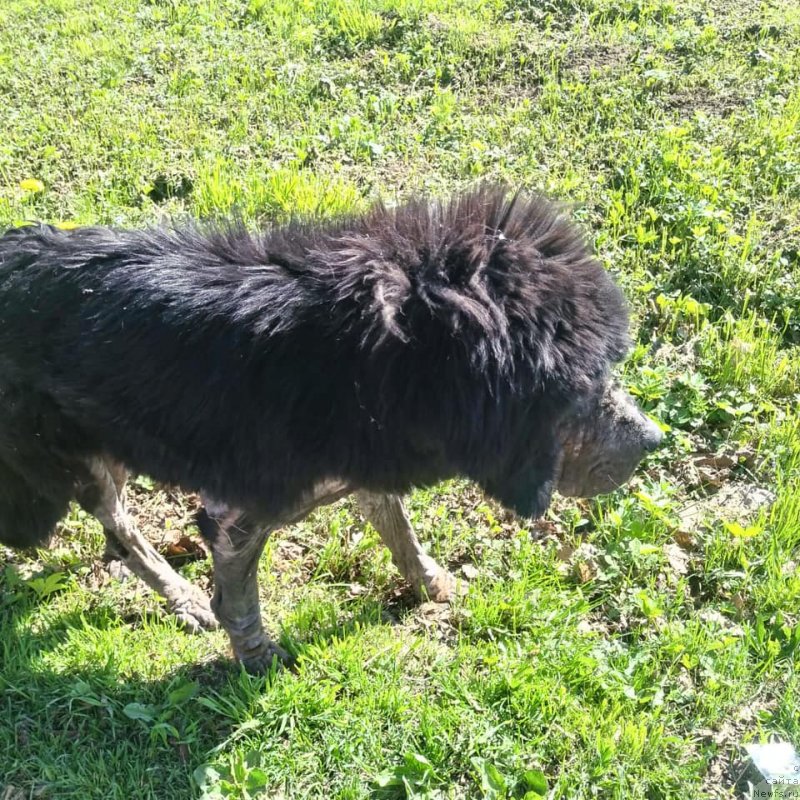 Фотография № 242711