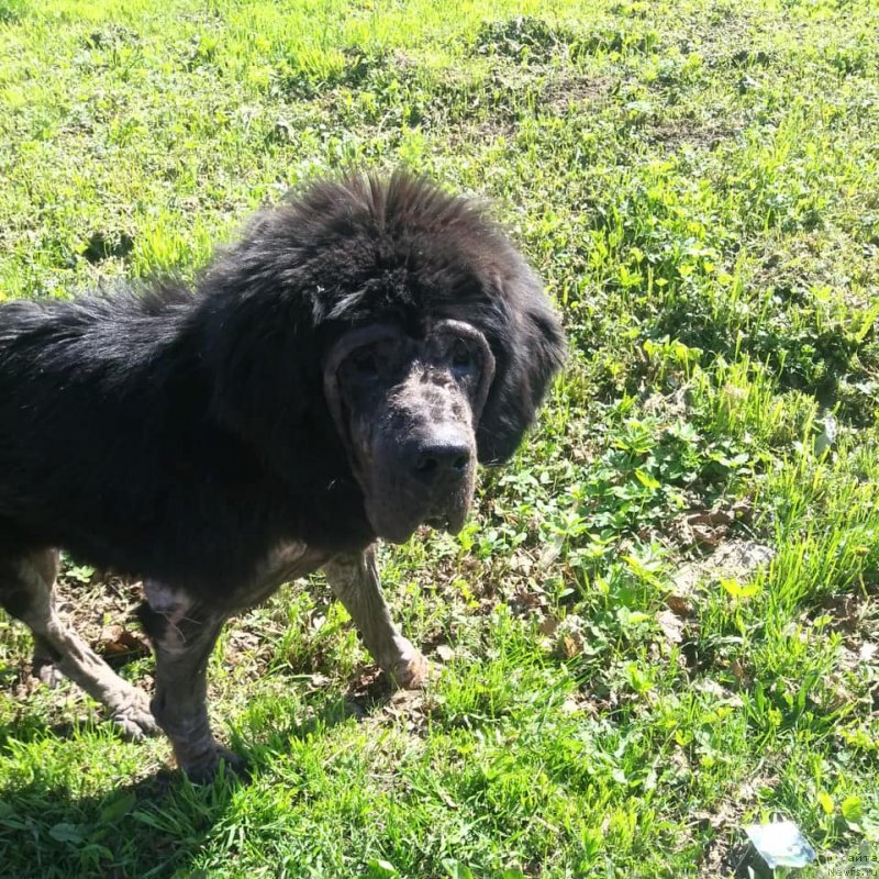 Фотография № 242712