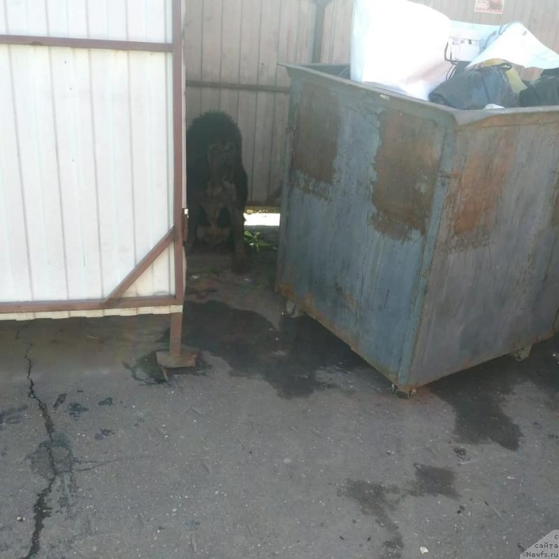 Фотография № 242713