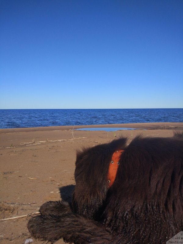 Фотография № 242728