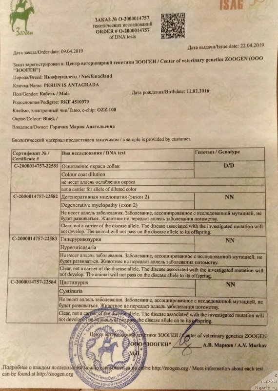 Фото: Марья Горячих