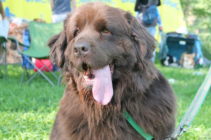 Фотография № 242750