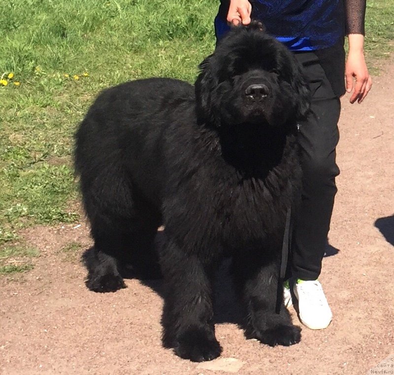 Фотография № 242755