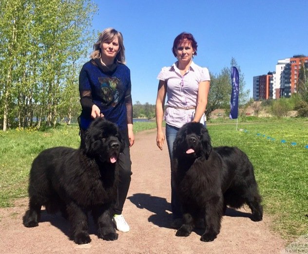 Фотография № 242756