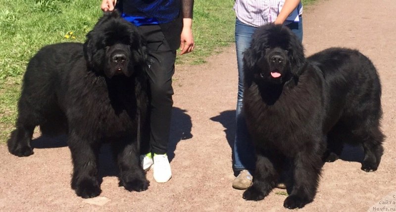 Фотография № 242757