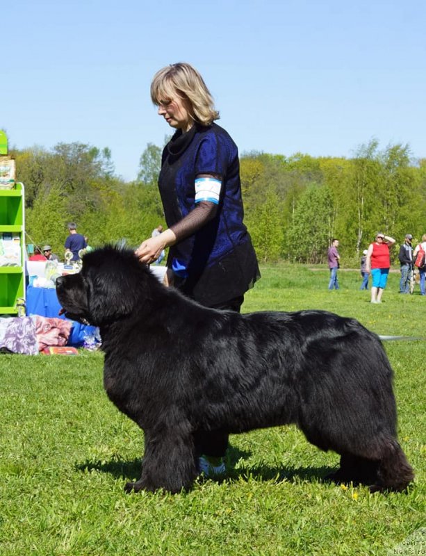 Фотография № 242759