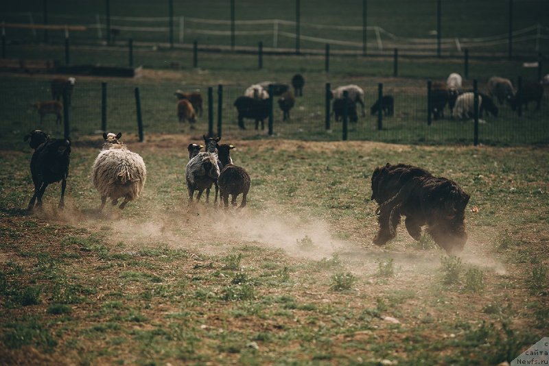 Фотография № 242803