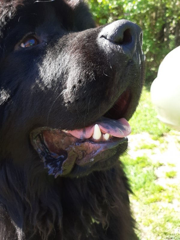 Фотография № 242825