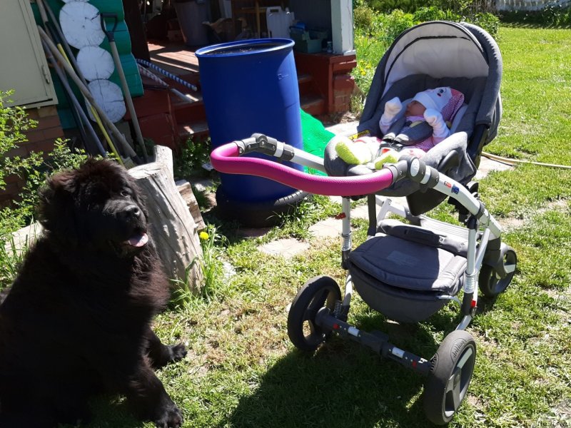 Фотография № 242826