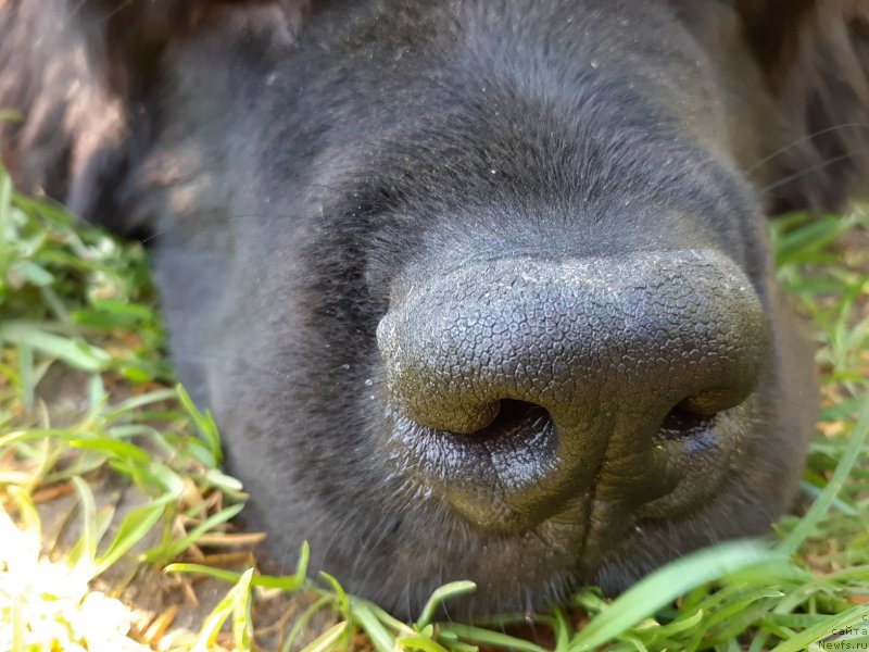 Фотография № 242827