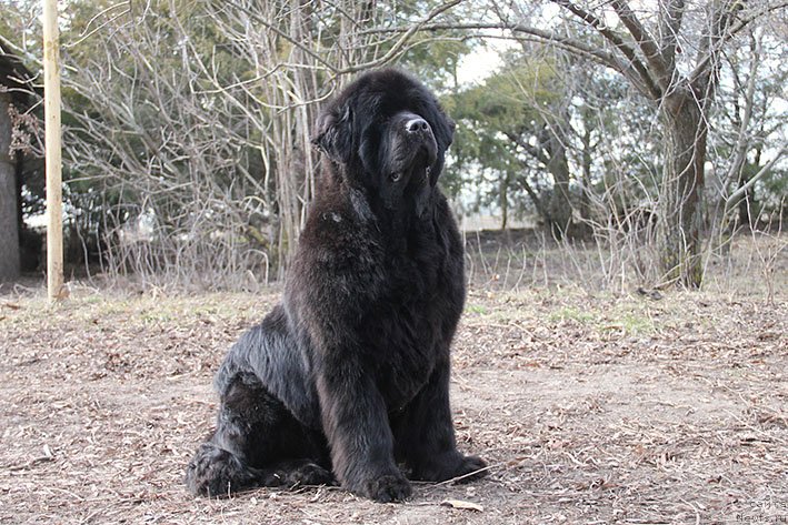 Фотография № 242829