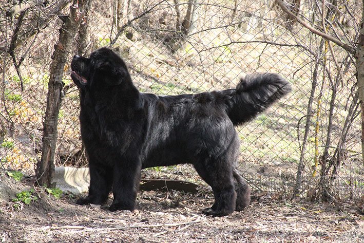 Фотография № 242831