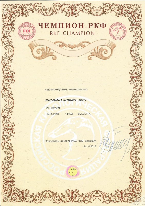 Фото: ньюфаундленд Сент Джонс Юстиния Юлия (Sent Djons Yustiniya Yuliya)