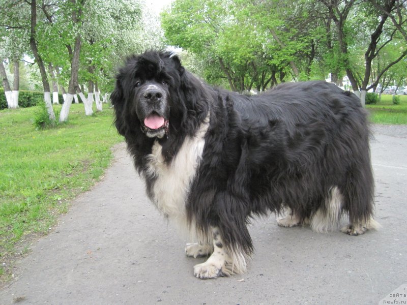 Фотография № 242956