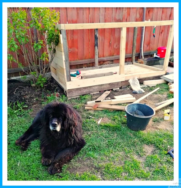 Фотография № 242961