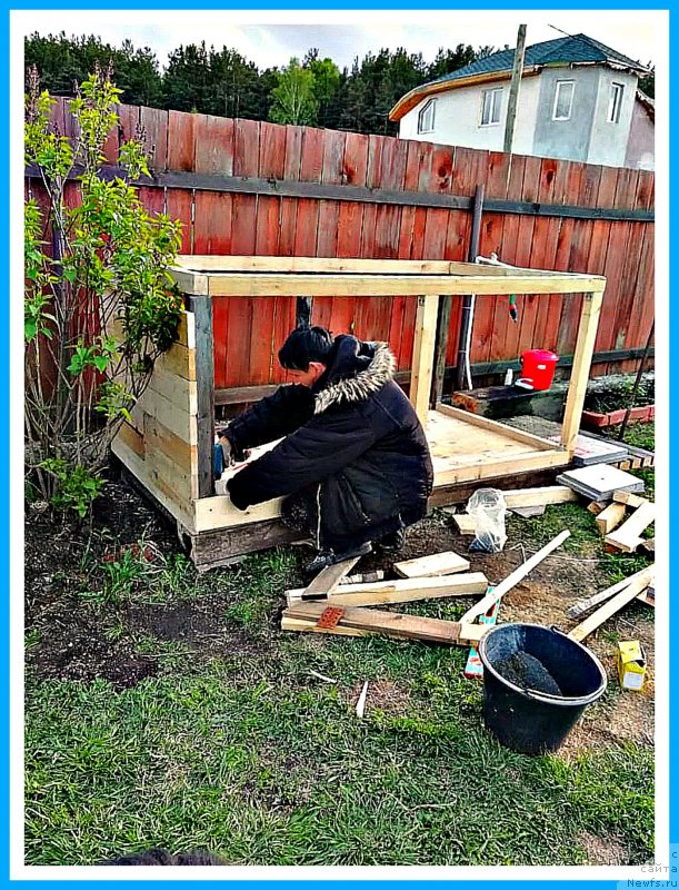 Фотография № 242962