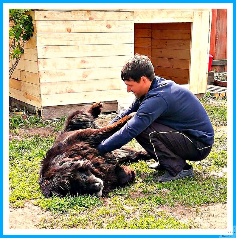 Фотография № 242963