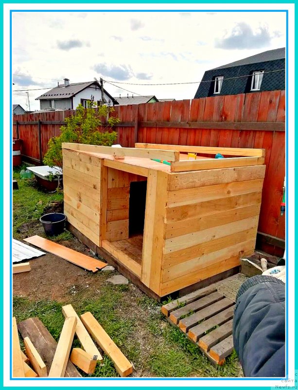 Фото: Мишка(Жора-Лютик)