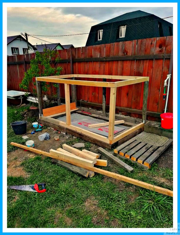 Фото: Мишка(Жора-Лютик)