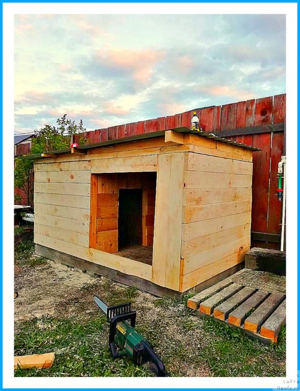 Фото: Мишка(Жора-Лютик)