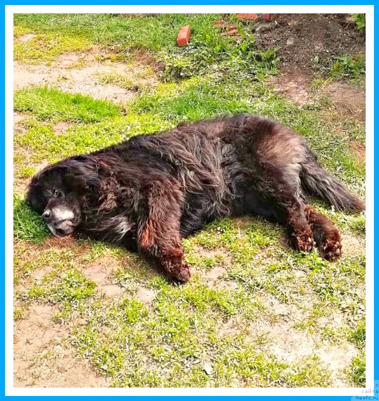 Фотография № 242973