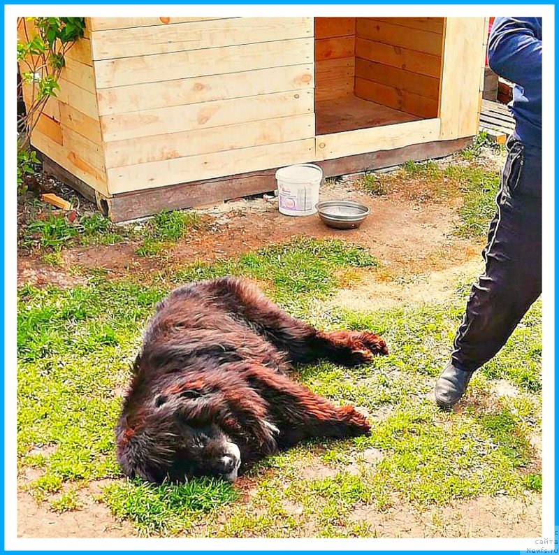 Фотография № 242974