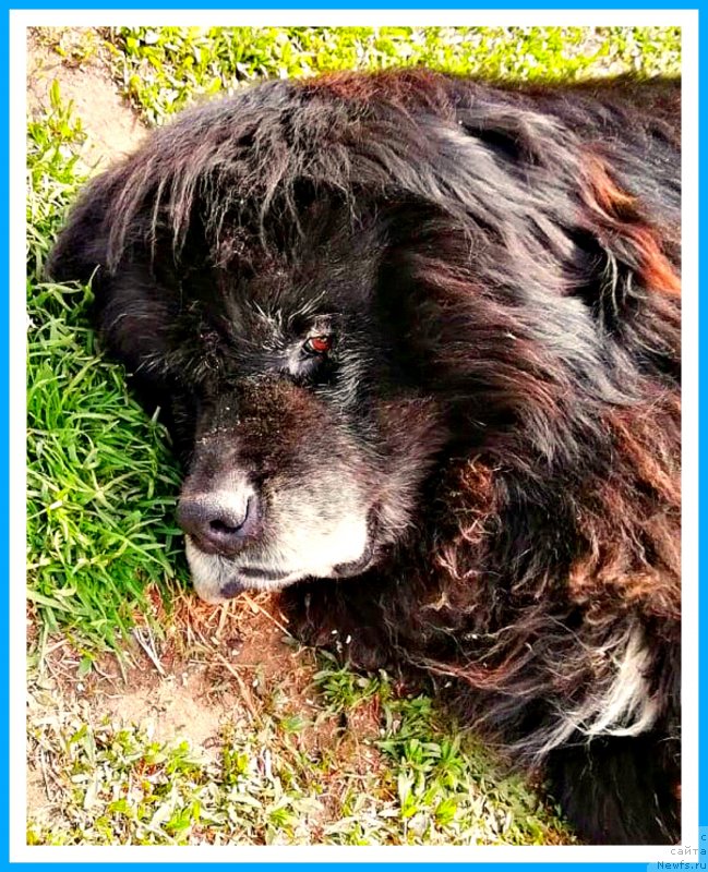 Фотография № 242975