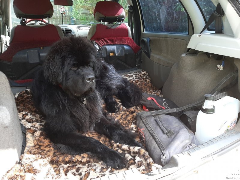 Фотография № 242982