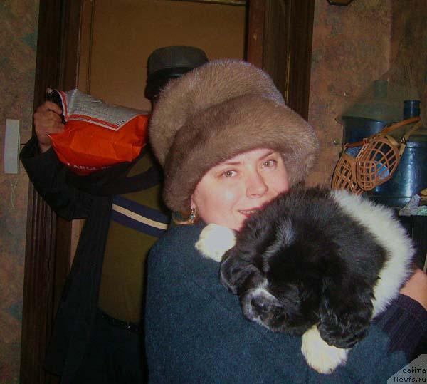 Фото: ньюфаундленд Супер Бизон Гера, Ольга Скуматенко