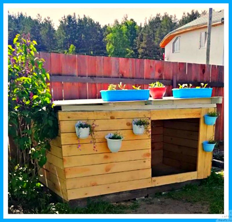 Фотография № 243091