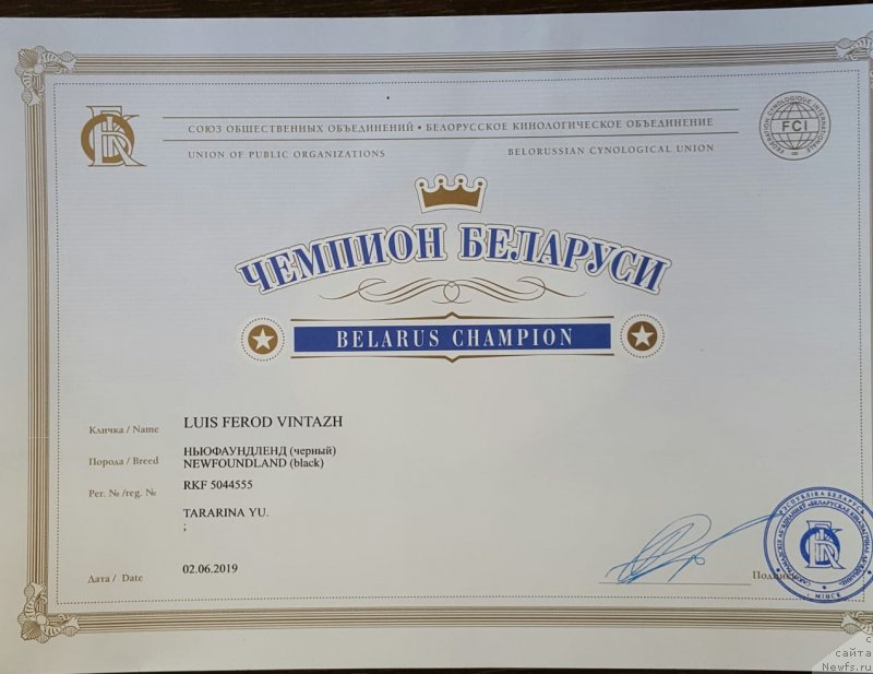 Фотография № 243099