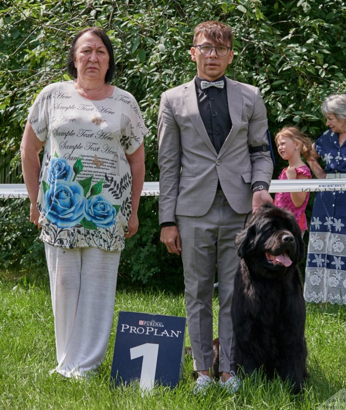 Фото: ньюфаундленд Парки из Антаграда (Parki is Antagrada)