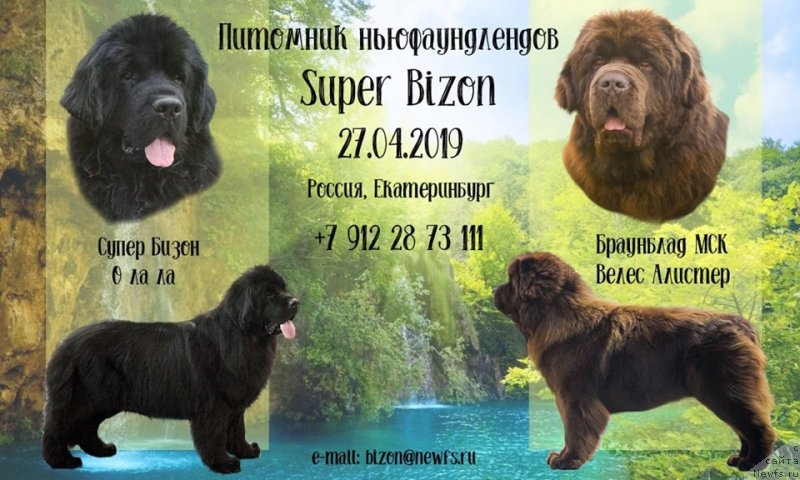 Фотография № 243107