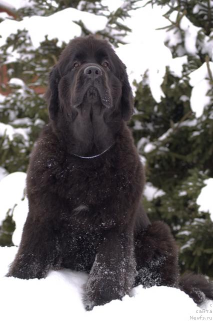 Фотография № 24312