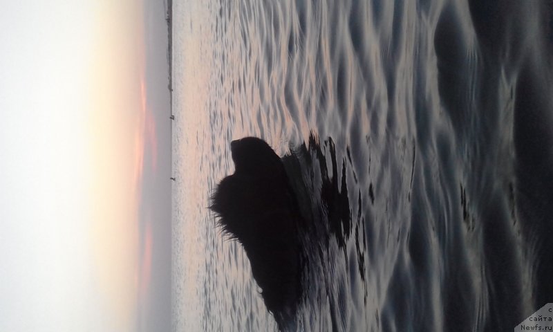 Фотография № 243135