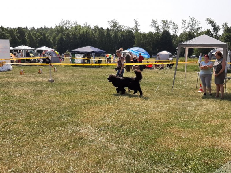 Фотография № 243160