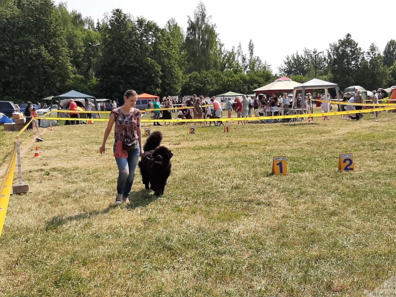 Фотография № 243161