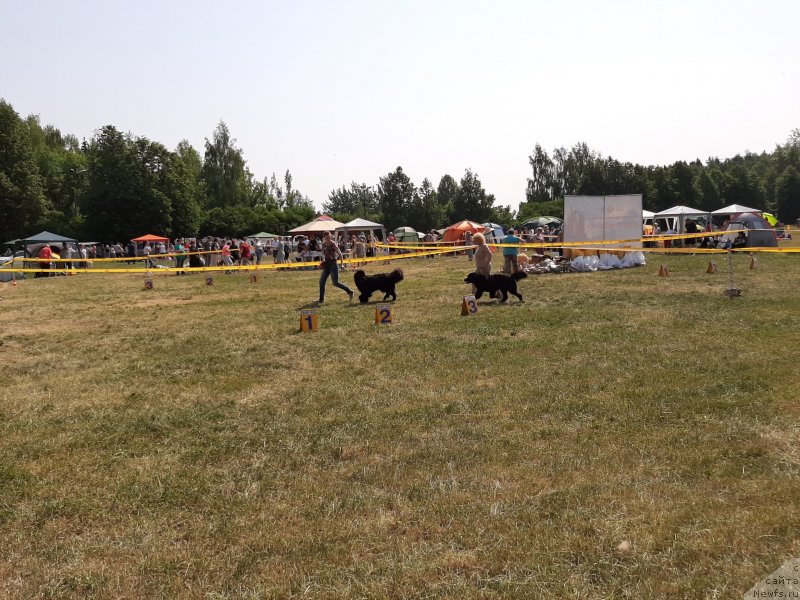 Фотография № 243162