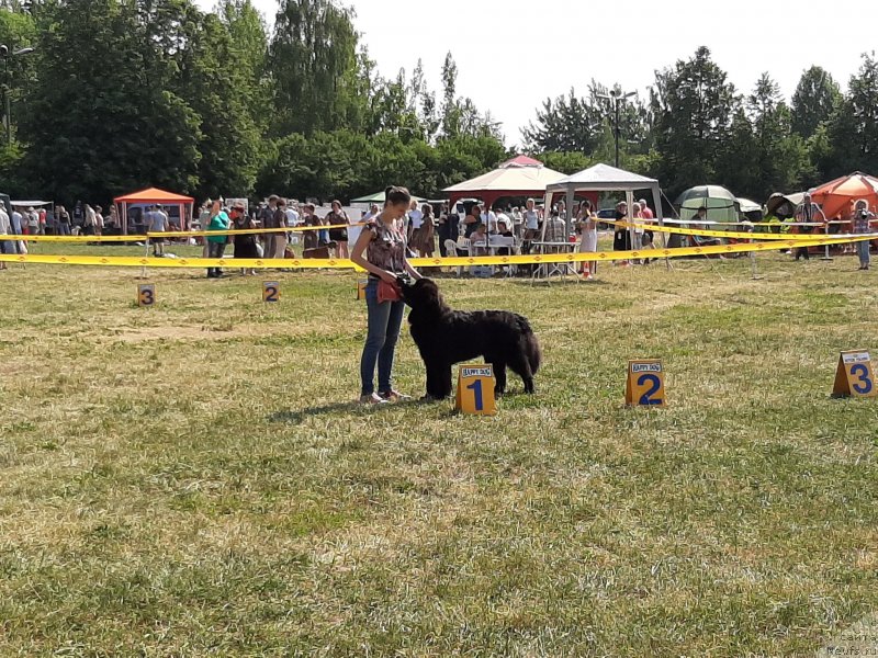 Фотография № 243163