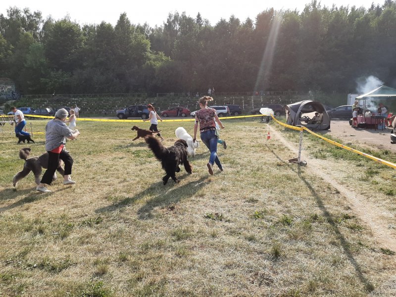 Фотография № 243165