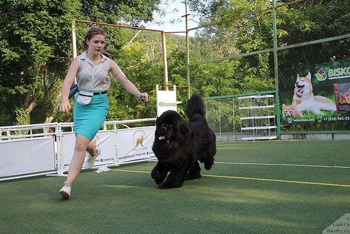 Фотография № 243168