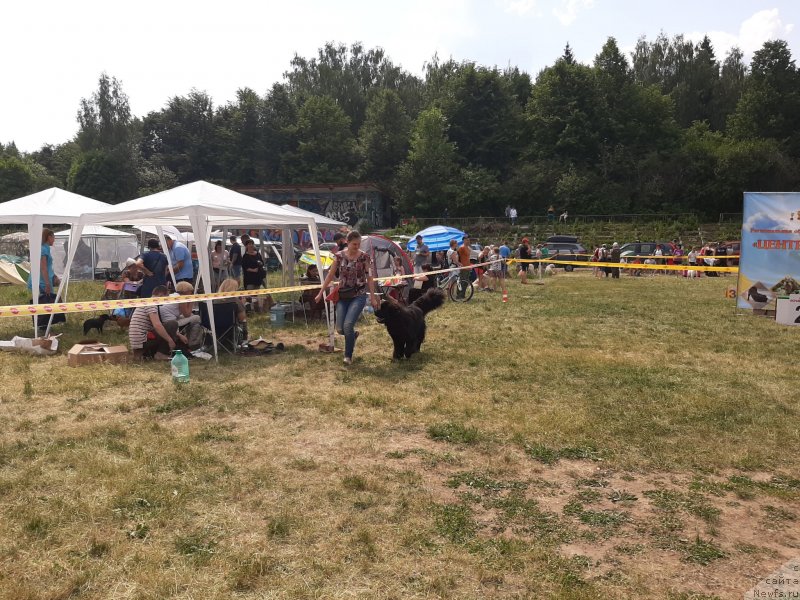 Фотография № 243172